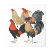 Vier Gamecocks Notitieblok (Voorkant)