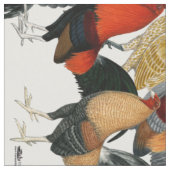 Vier Gamecocks Stof (Close Up)