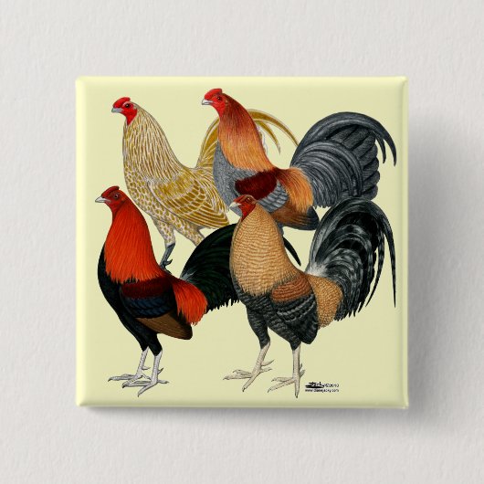 Vier Gamecocks Vierkante Button 5,1 Cm (Voorkant)