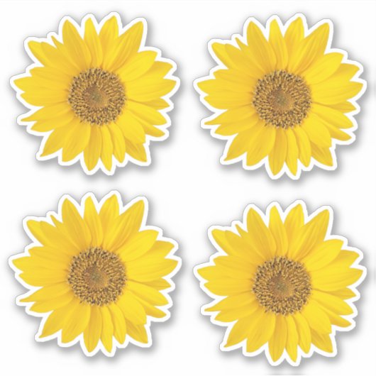 Vier Gele Zonnebloem Sticker (Voorkant)