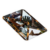 Vier Giraffes op een Giraffe-envelop, magneet (Rechterzijde)