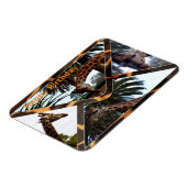 Vier Giraffes op een Giraffe-envelop, magneet (Linkerzijde)