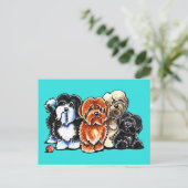 Vier Havanese Briefkaart (Staand voorkant)