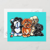 Vier Havanese Briefkaart (Voorkant / Achterkant)