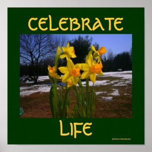 vier het leven/lente poster