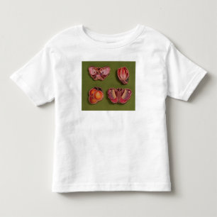 Vier kartonnen en juwelen, vlinder kinder shirts