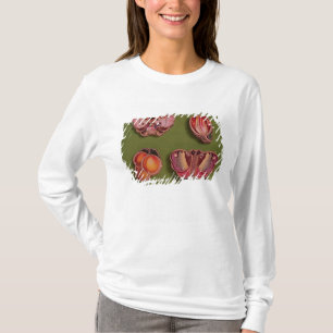 Vier kartonnen en juwelen, vlinder t-shirt