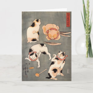 Vier Katten in Verschillend stelt Wenskaart Kaart