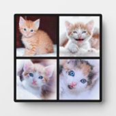 Vier Kitten Photo Collage Black Fotoplaat (Voorkant)