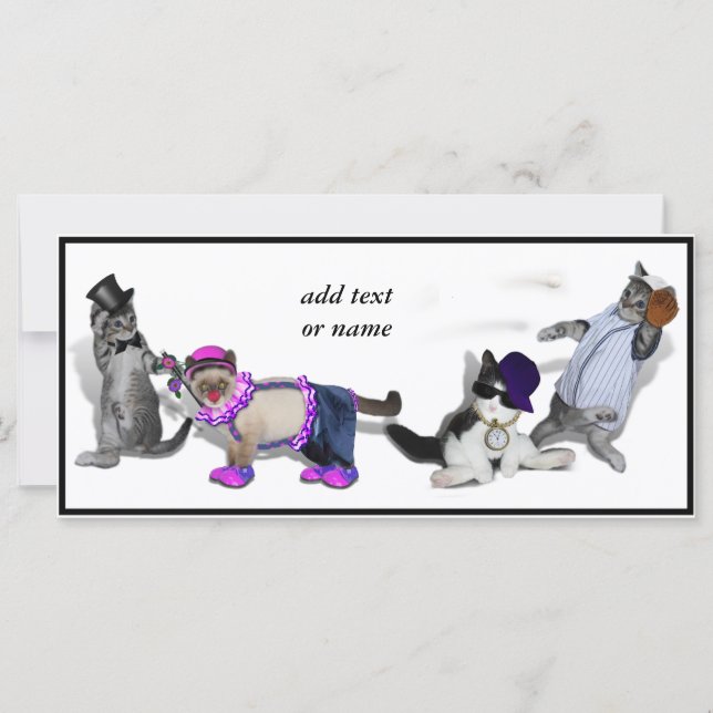 Vier Kittens bij het spelen (Voorkant)