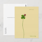 Vier klaver en ladybug - Goed Luck Briefkaart (Voorkant / Achterkant)