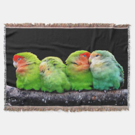 Vier kleine Canarische Deken