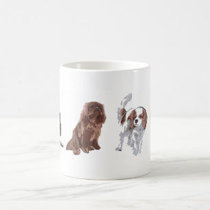 Vier kleuren van Cavalier King Charles Spaniels. M Koffiemok