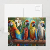 Vier kleurrijke papegaaien briefkaart (Voorkant / Achterkant)
