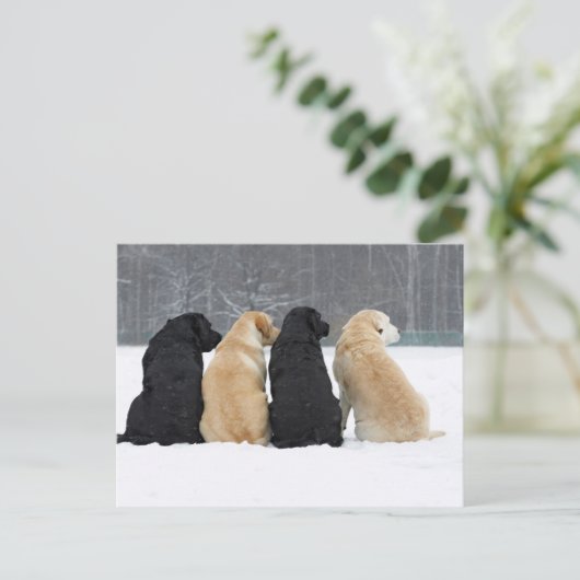 Vier labrador honden in sneeuw briefkaart (Staand voorkant)