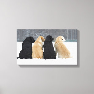 Vier labrador honden in sneeuw canvas afdruk