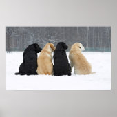 Vier labrador honden in sneeuw poster (Voorkant)