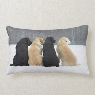 Vier Labradorhonden in de sneeuw Kussen