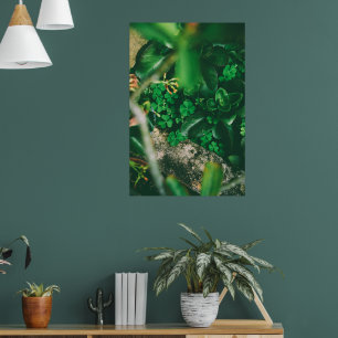 Vier Leaf Clover Charm Poster