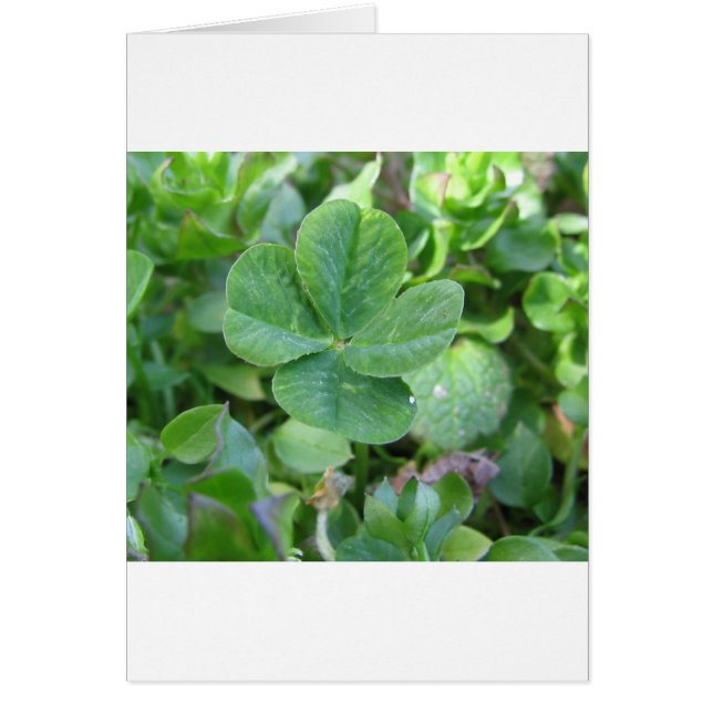 Vier lef-klaver (Voorkant)