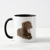 Vier maanden oud Chocolate Lab Puppy Yawning Mok (Links)