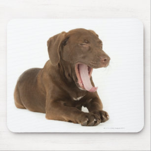 Vier maanden oud Chocolate Lab Puppy Yawning Muismat