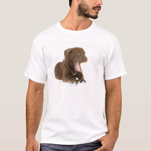 Vier maanden oud Chocolate Lab Puppy Yawning T-shirt (Voorkant)