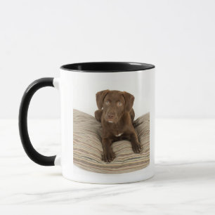 Vier maanden oude Chocolate Lab Puppy op Pillow Mok