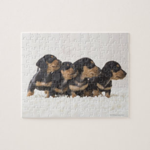 Vier Mini Dachshund Legpuzzel