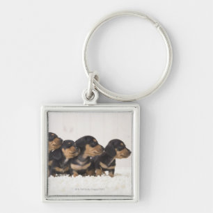 Vier Mini Dachshund Sleutelhanger