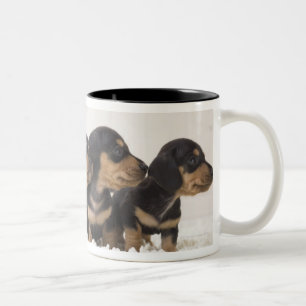 Vier Mini Dachshund Tweekleurige Koffiemok