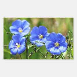 Vier mooie blauwe bloemen, bloom Kananaskis Rechthoekige Sticker