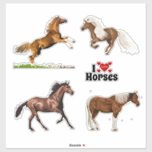 Vier mooie paarden sticker