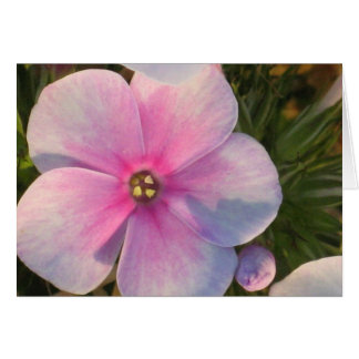 Vier O'Clock Flower Card