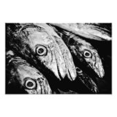 vier ogen foto afdruk (Voorkant)