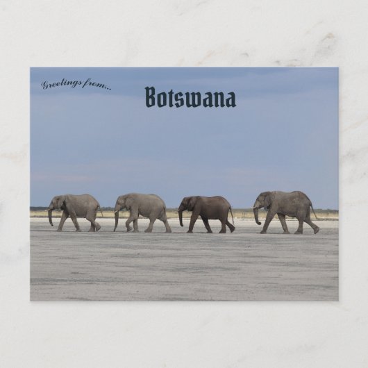 Vier olifanten in het Briefkaart van Botswana (Voorkant)