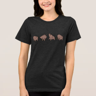 Vier Olifantjes Tri-Blend Shirt