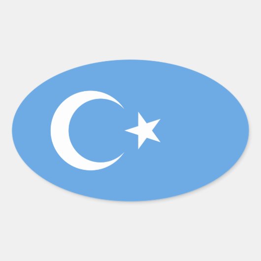 VIER Oost-Turkestan Oeigoerse vlag Ovale Sticker (Voorkant)