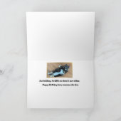 Vier op de vijf katten geeft niet om verjaardag kaart (Binnen)