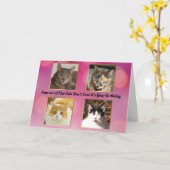 Vier op de vijf katten geeft niet om verjaardag kaart (Gele Bloem)