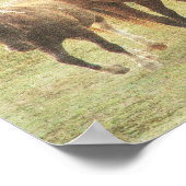 Vier paardachtigen poster (Hoek)