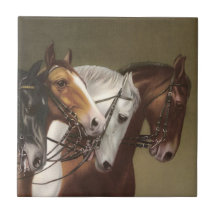 Vier paarden kunststoftegel