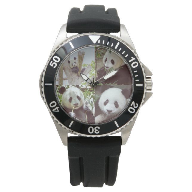 Vier Panda afbeeldingen collage Horloge (Voorkant)