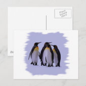 Vier pinguïns briefkaart (Voorkant / Achterkant)