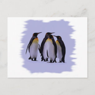 Vier pinguïns briefkaart