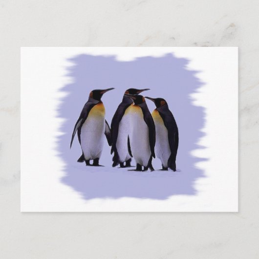 Vier pinguïns briefkaart (Voorkant)