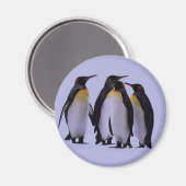 Vier Pinguïns Magneet (Voorkant / Achterkant)
