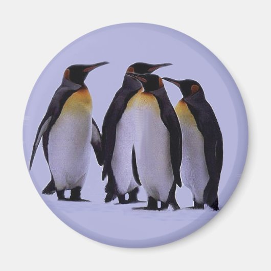 Vier Pinguïns Magneet (Voorkant)