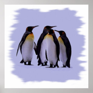 Vier pinguïns Poster 24x24 inch