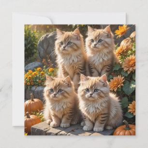 Vier pluizige herfst Kittens met pompoenen en mama